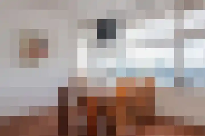 Beeklaan 128 Noordwijk thumbnail 8