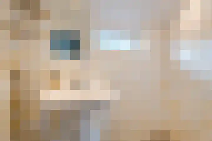 Beeklaan 13 Wichmond thumbnail 22