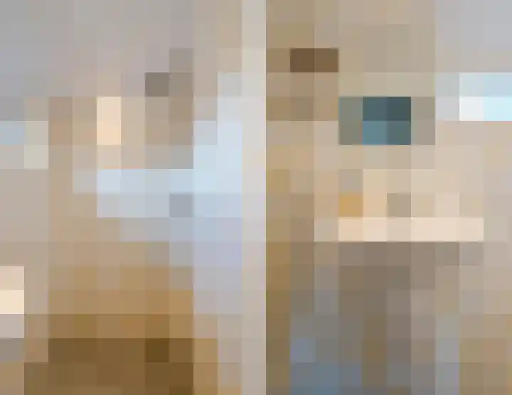 Beeklaan 13 Wichmond thumbnail 23