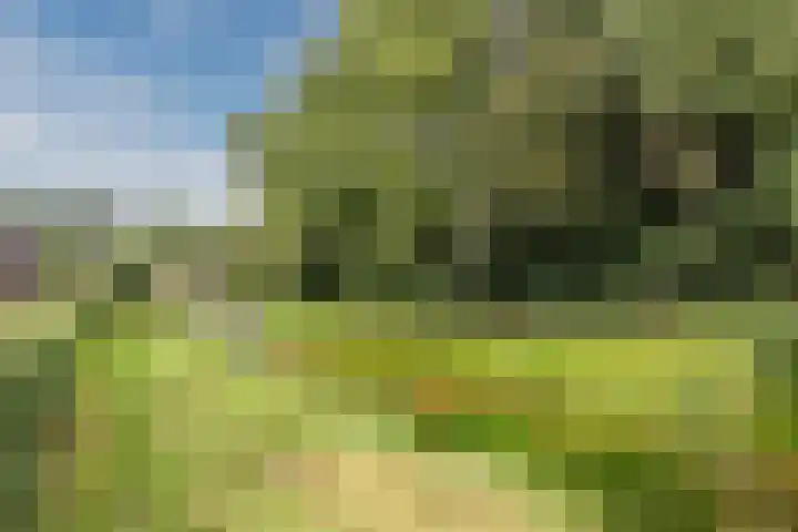 Beeklaan 13 Wichmond thumbnail 32