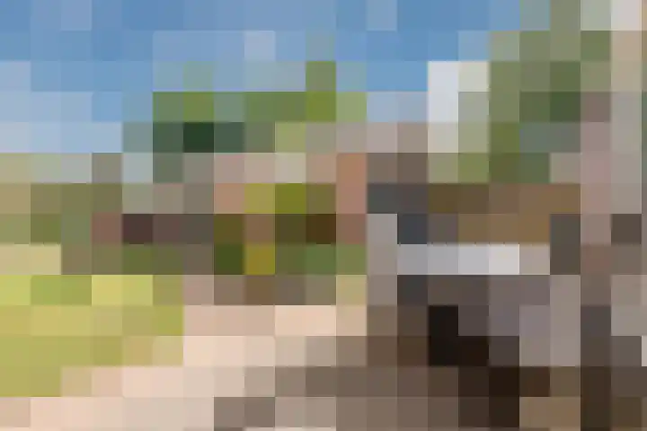 Beeklaan 13 Wichmond thumbnail 5
