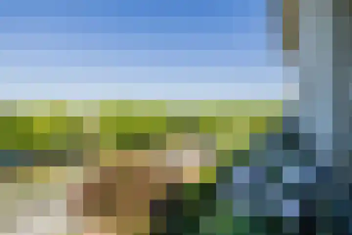 Beeklaan 130 Noordwijk thumbnail 17