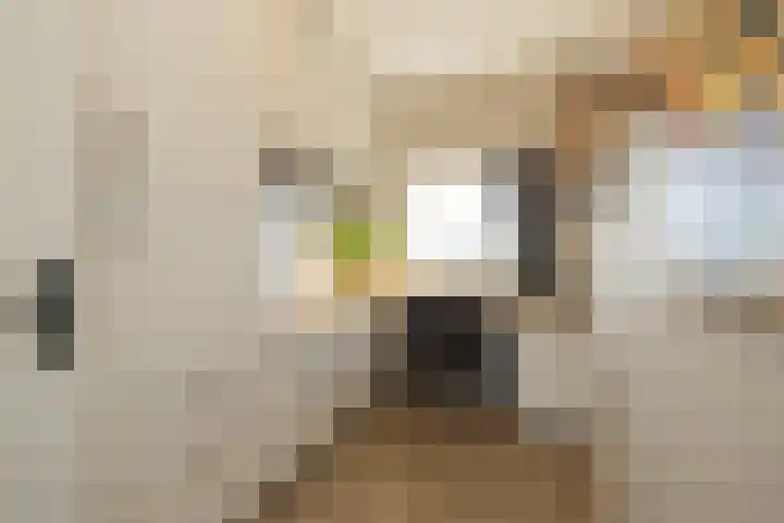 Beeklaan 130 Noordwijk thumbnail 23