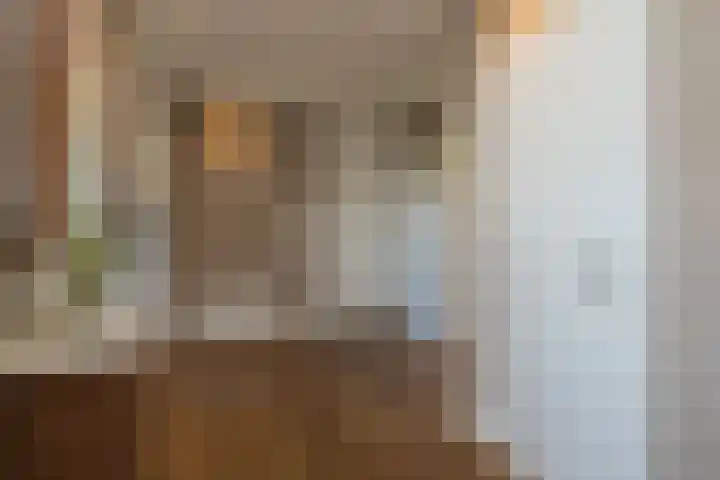 Beeklaan 130 Noordwijk thumbnail 7