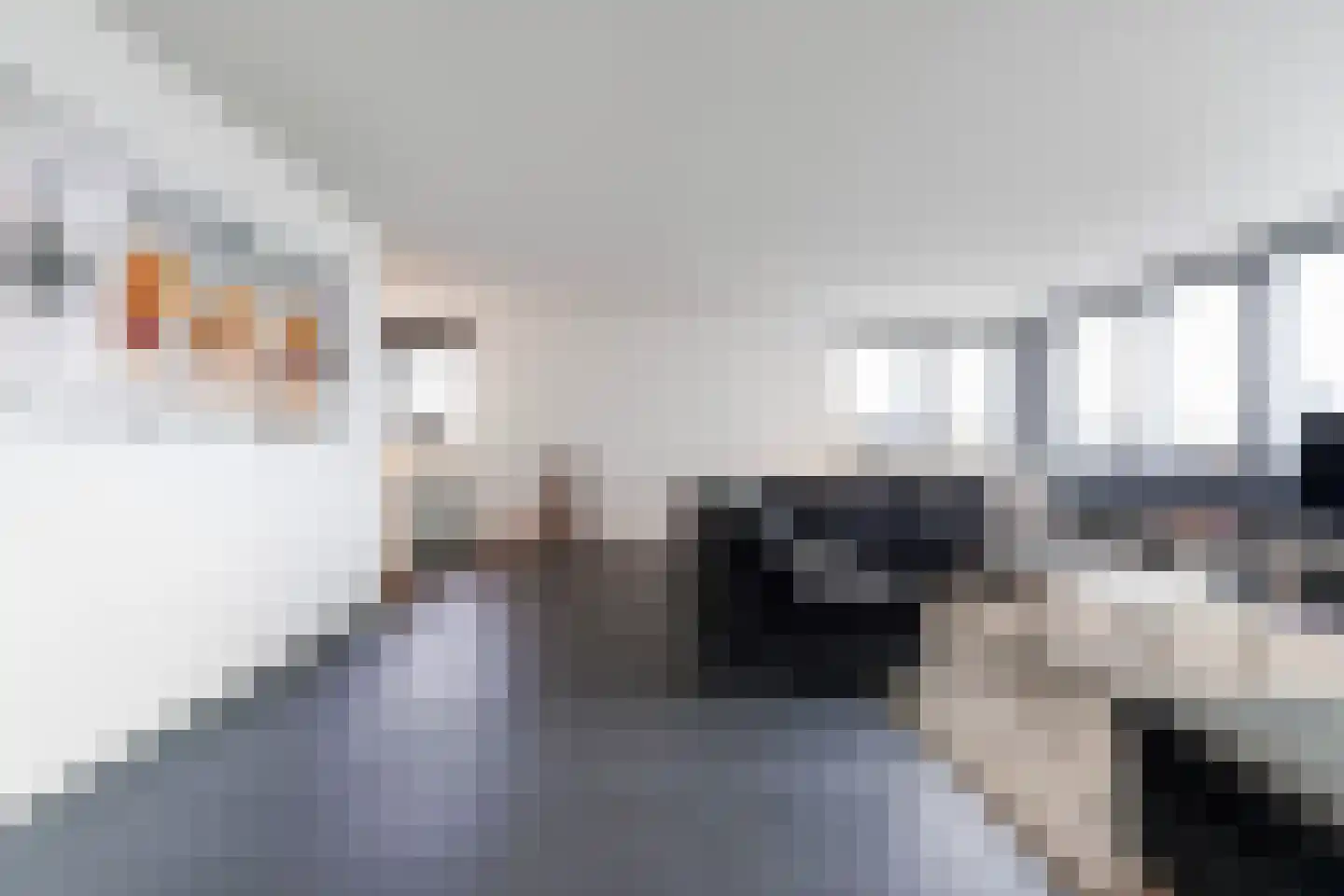 Beeklaan 139 Tilburg thumbnail 5