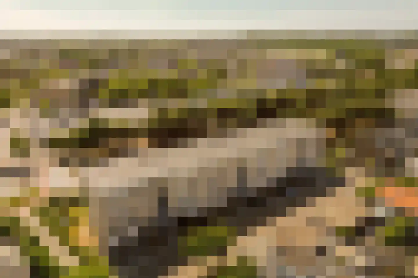 Beeklaan 142 Noordwijk thumbnail 34
