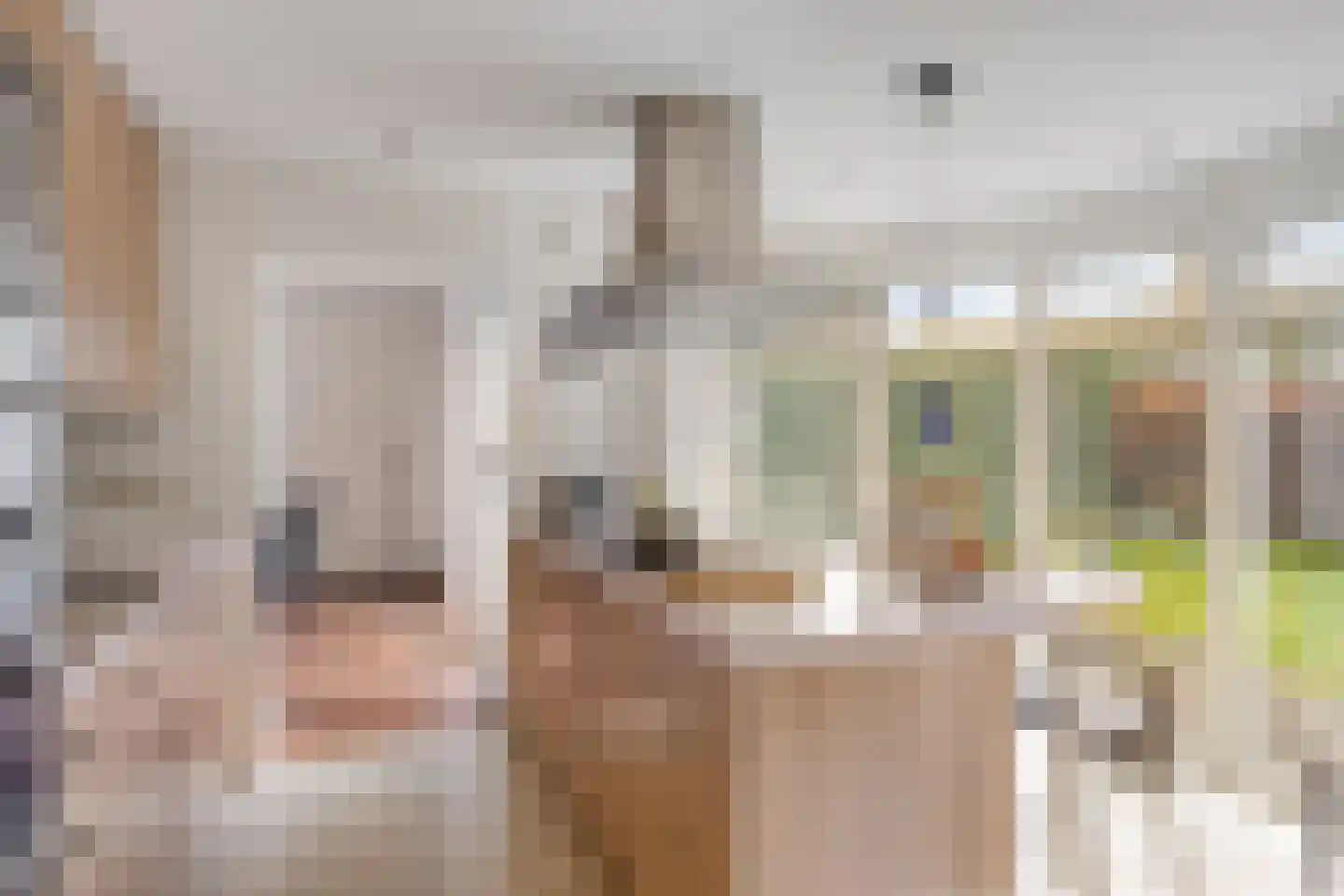 Beeklaan 142 Tilburg thumbnail 17