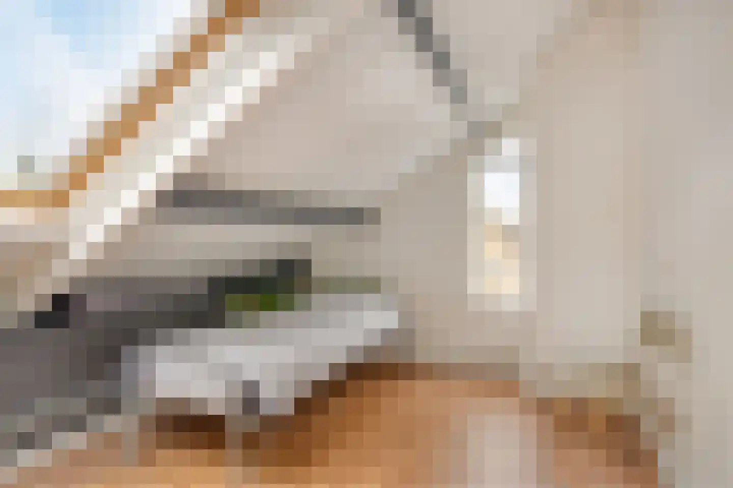Beeklaan 142 Tilburg thumbnail 36