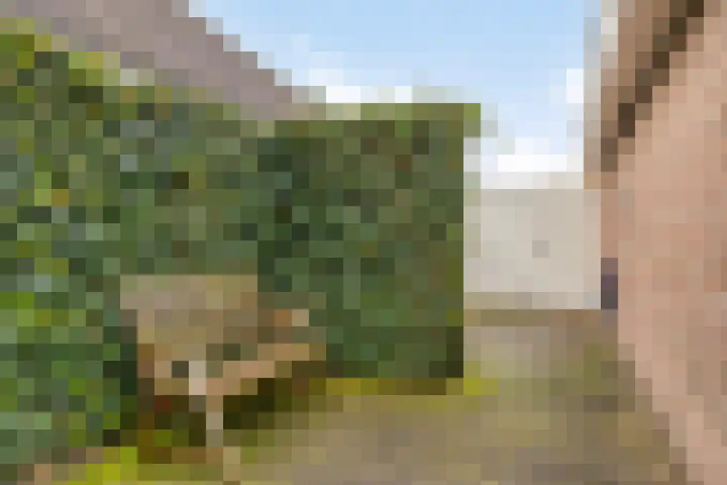 Beeklaan 142 Tilburg thumbnail 43