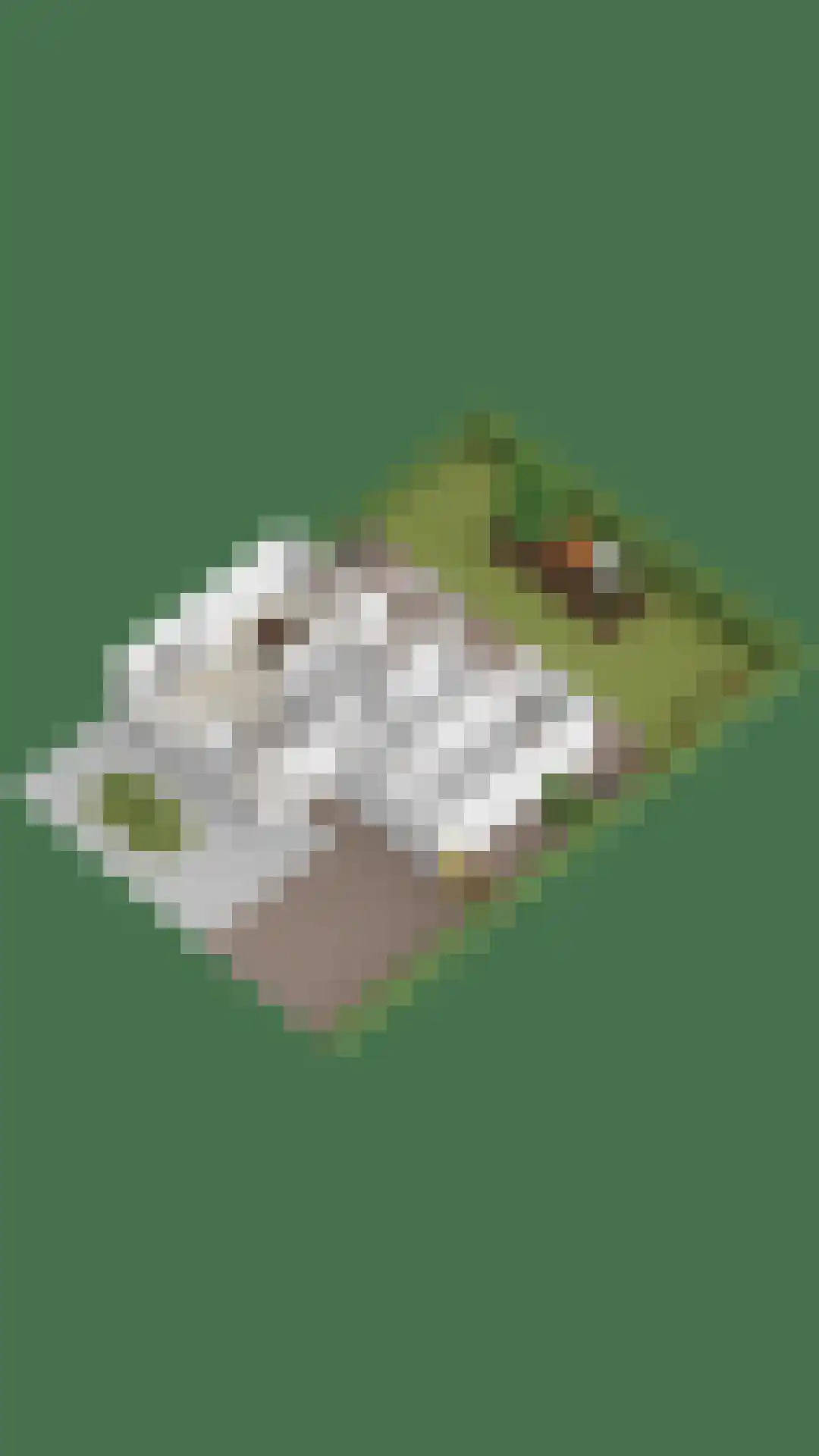 Beeklaan 142 Tilburg thumbnail 45