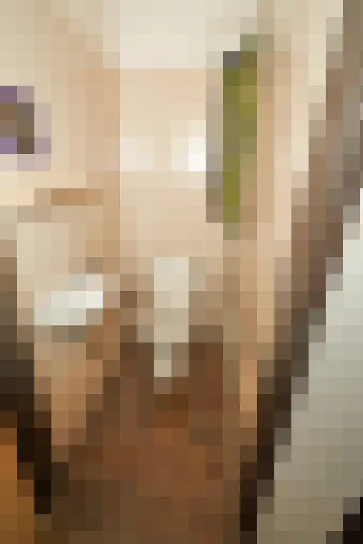 Beeklaan 154 Tilburg thumbnail 10