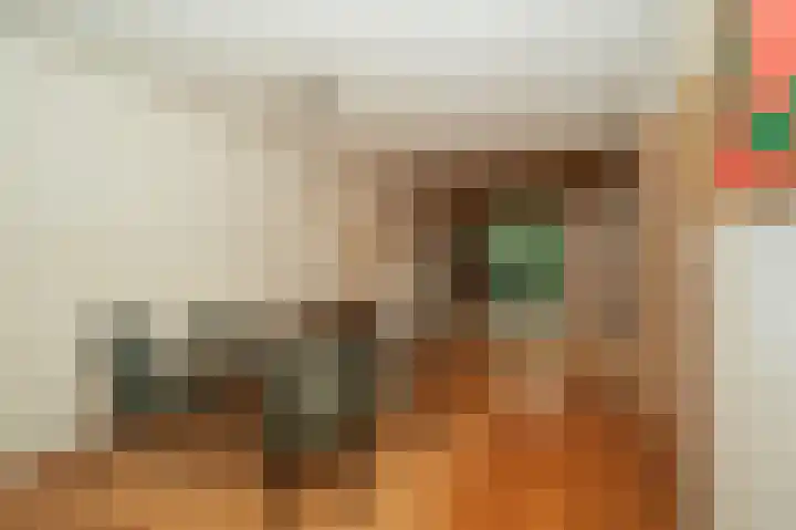 Beeklaan 154 Tilburg thumbnail 12