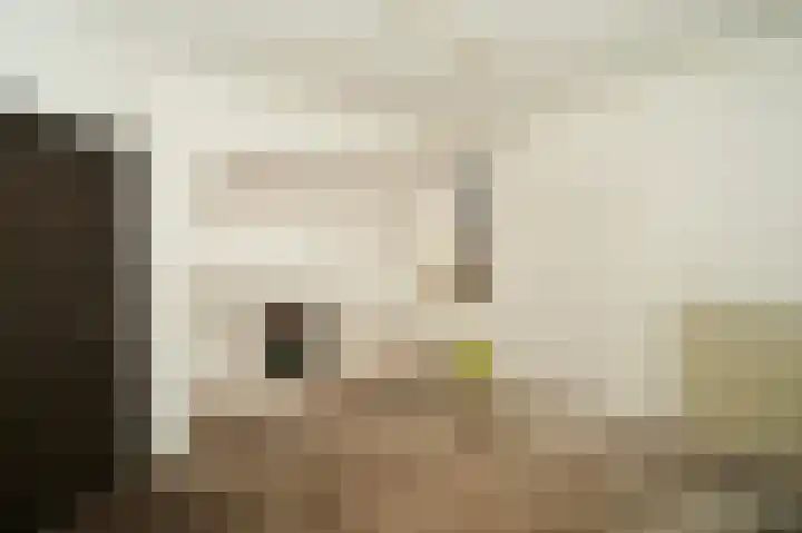Beeklaan 154 Tilburg thumbnail 15