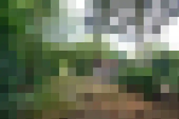 Beeklaan 154 Tilburg thumbnail 19