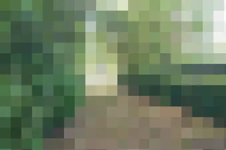 Beeklaan 154 Tilburg thumbnail 20