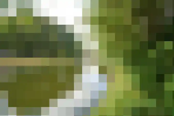 Beeklaan 154 Tilburg thumbnail 21