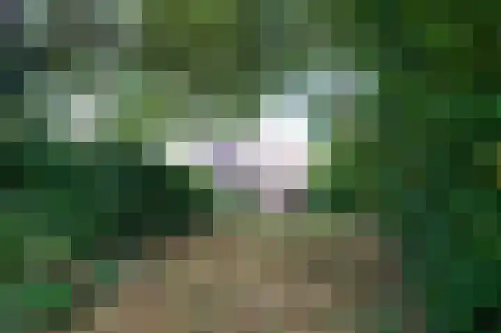 Beeklaan 154 Tilburg thumbnail 22