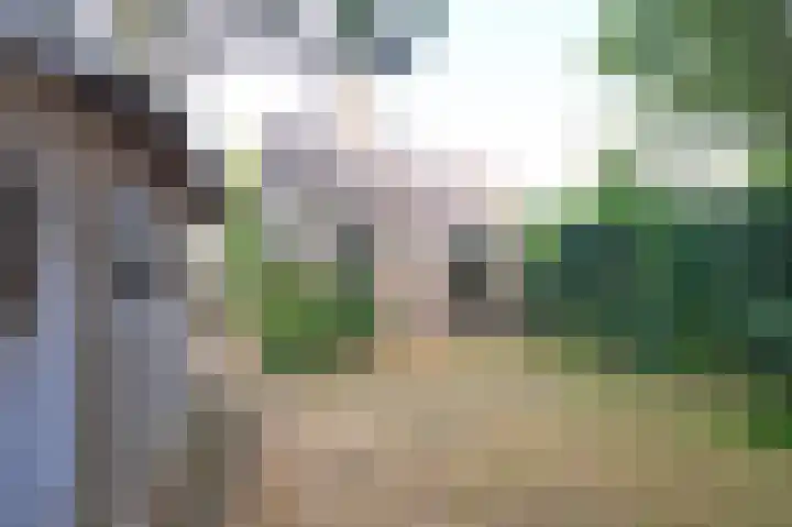 Beeklaan 154 Tilburg thumbnail 23