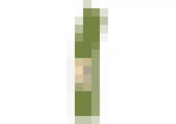 Beeklaan 154 Tilburg thumbnail 26