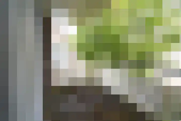 Beeklaan 154 Tilburg thumbnail 29