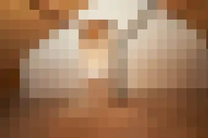 Beeklaan 154 Tilburg thumbnail 37