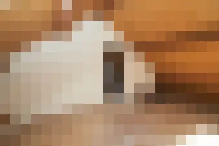 Beeklaan 154 Tilburg thumbnail 38