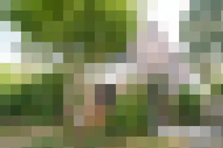 Beeklaan 154 Tilburg thumbnail 39