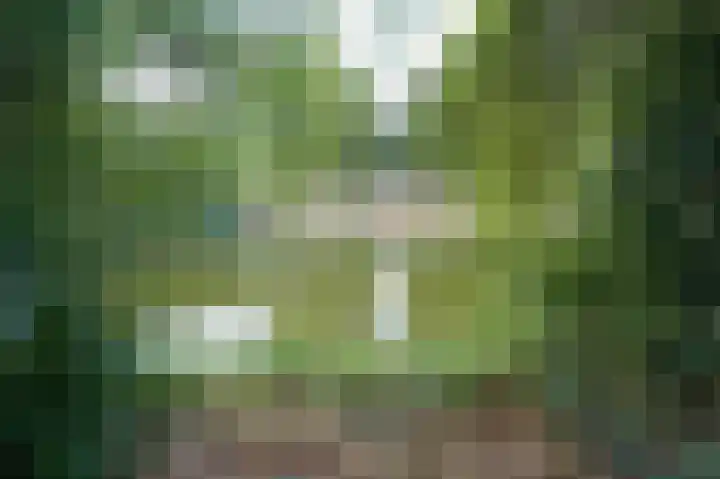 Beeklaan 154 Tilburg thumbnail 4
