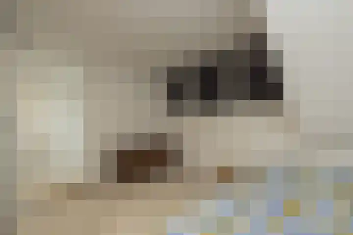 Beeklaan 162 Noordwijk thumbnail 30