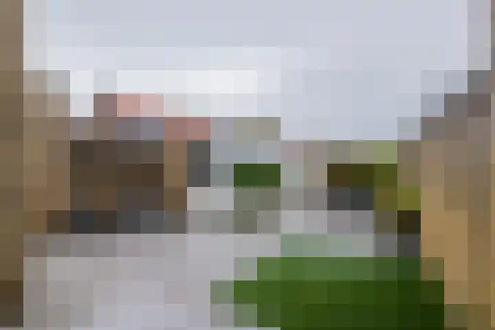 Beeklaan 162 Noordwijk thumbnail 31