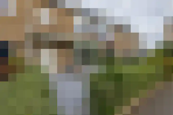 Beeklaan 162 Noordwijk thumbnail 4