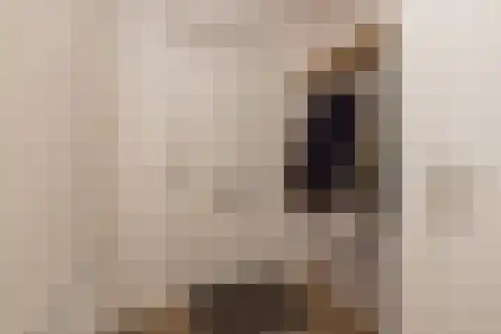 Beeklaan 162 Noordwijk thumbnail 5
