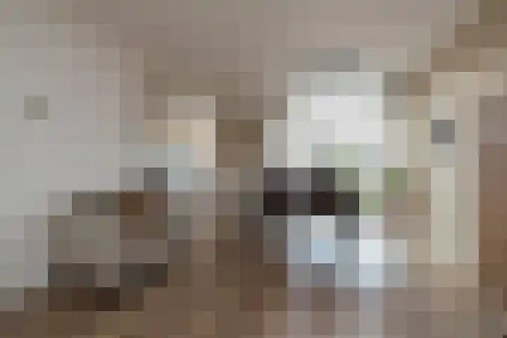 Beeklaan 162 Noordwijk thumbnail 8