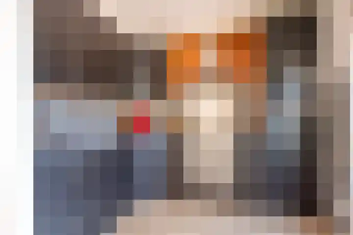 Beeklaan 168 Tilburg thumbnail 14