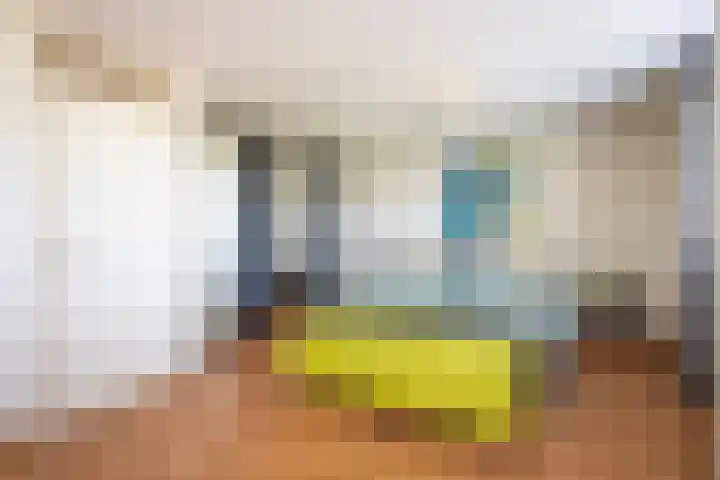 Beeklaan 168 Tilburg thumbnail 19