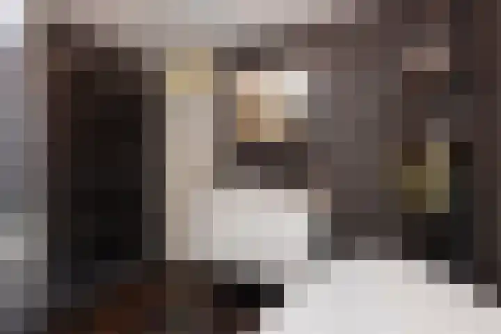 Beeklaan 168 Tilburg thumbnail 29