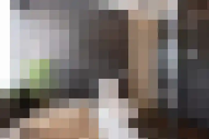 Beeklaan 168 Tilburg thumbnail 31