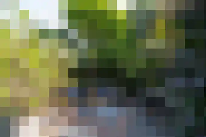Beeklaan 168 Tilburg thumbnail 44