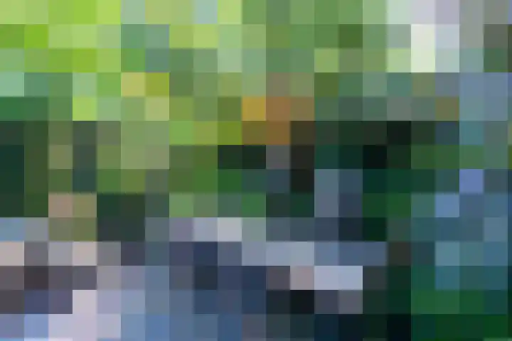 Beeklaan 168 Tilburg thumbnail 45