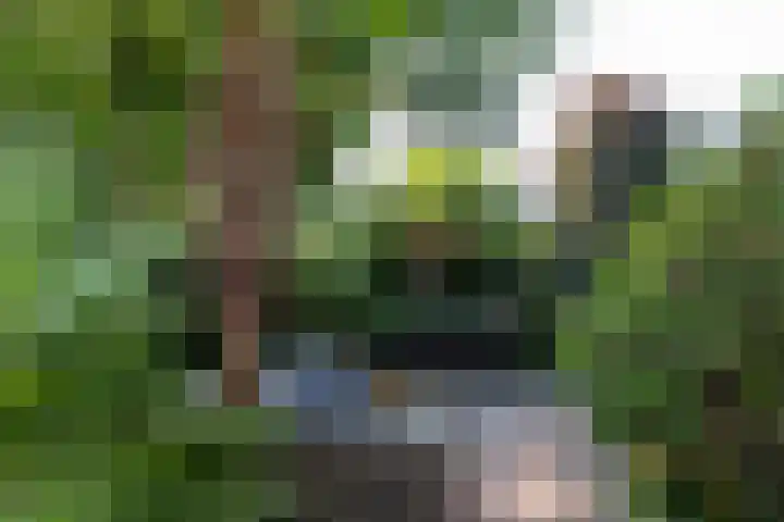 Beeklaan 168 Tilburg thumbnail 48