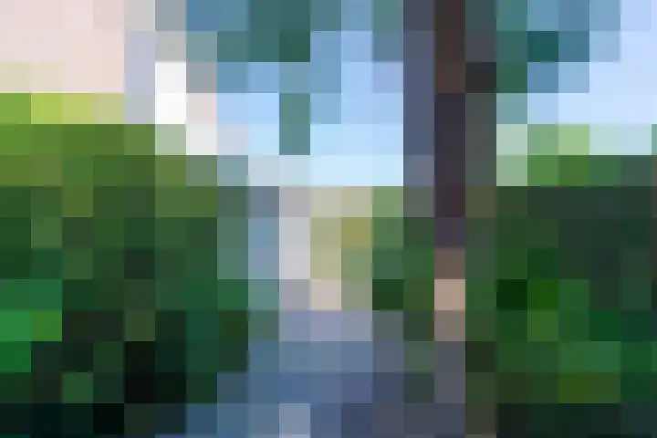Beeklaan 168 Tilburg thumbnail 49