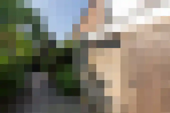Beeklaan 168 Tilburg thumbnail 50