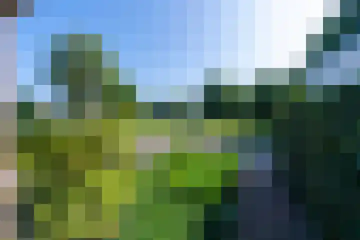 Beeklaan 168 Tilburg thumbnail 51