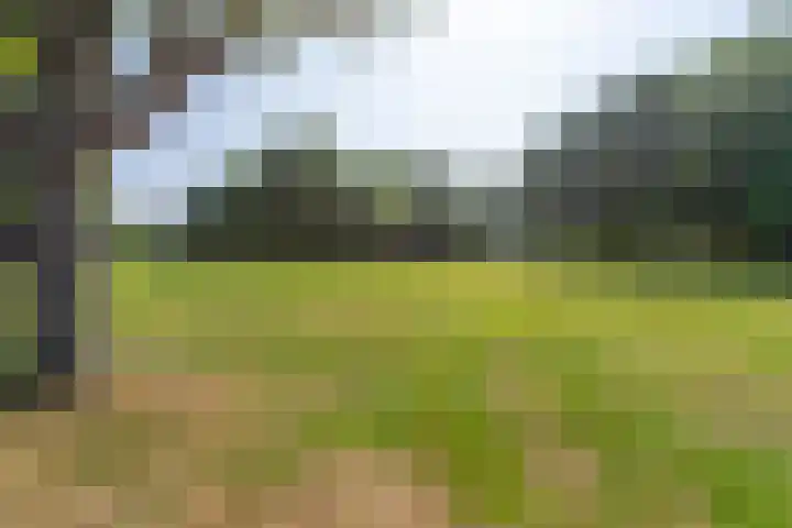 Beeklaan 168 Tilburg thumbnail 53