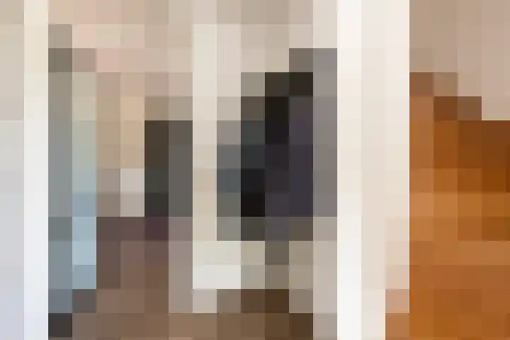 Beeklaan 168 Tilburg thumbnail 6