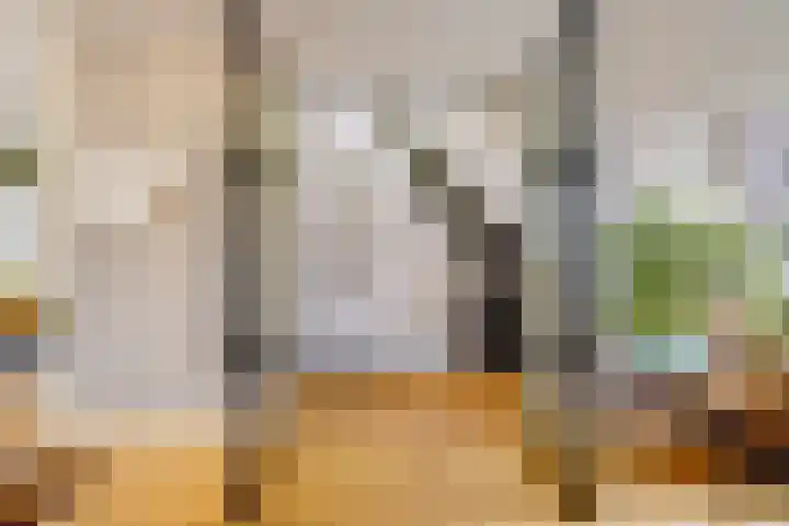 Beeklaan 170 Den Haag thumbnail 13