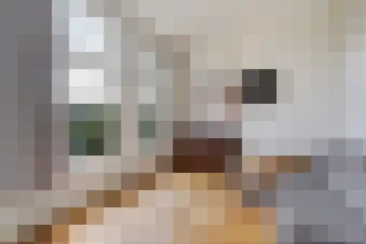 Beeklaan 170 Den Haag thumbnail 40