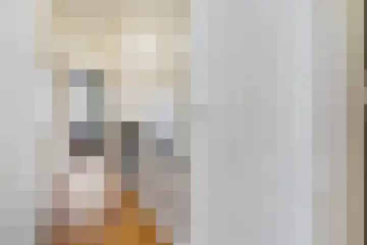 Beeklaan 170 Den Haag thumbnail 42