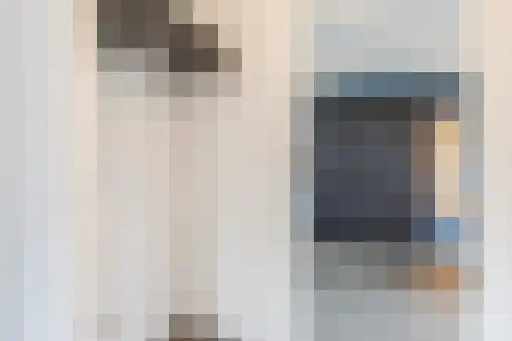 Beeklaan 170 Tilburg thumbnail 10