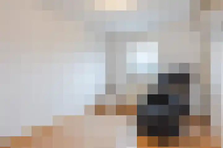 Beeklaan 170 Tilburg thumbnail 13